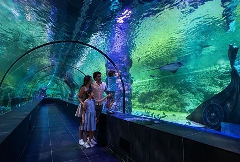 قیمت بلیط آکواریوم استانبول