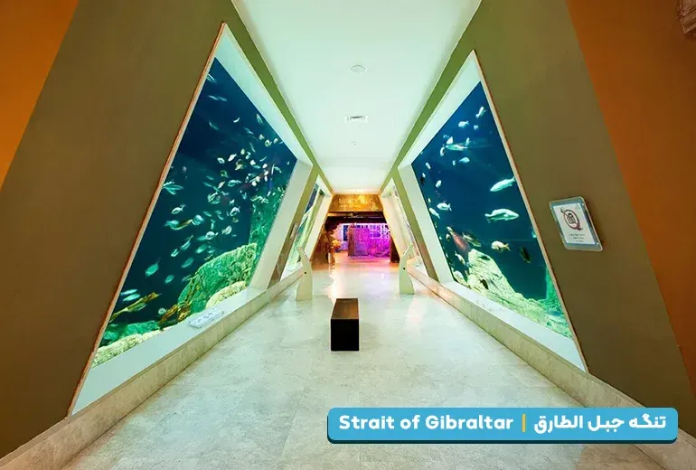 تنگه جبل‌الطارق از بخش های آکواریوم استانبول