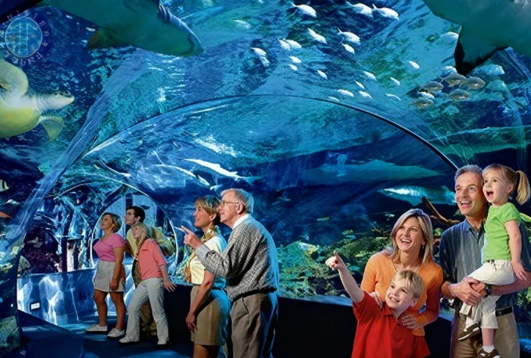 بازدیدکنندگان آکواریوم استانبول