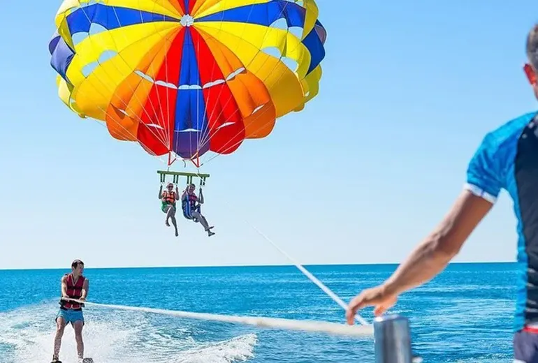 کلوپ دریایی در ساحل مرجان