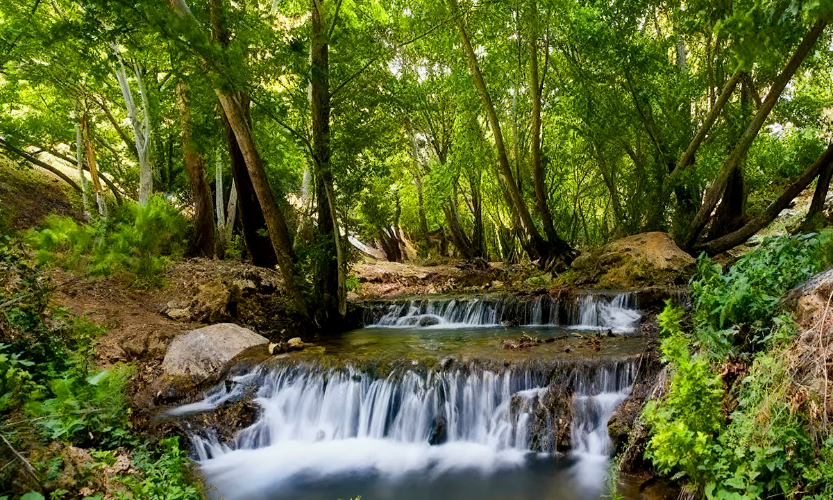 بهشت گمشده شیراز