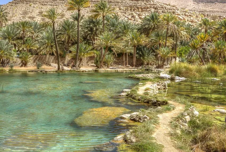 وادی بن خالد