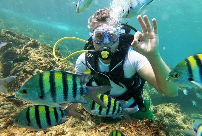 غواصی اسکله تفریحی کیش