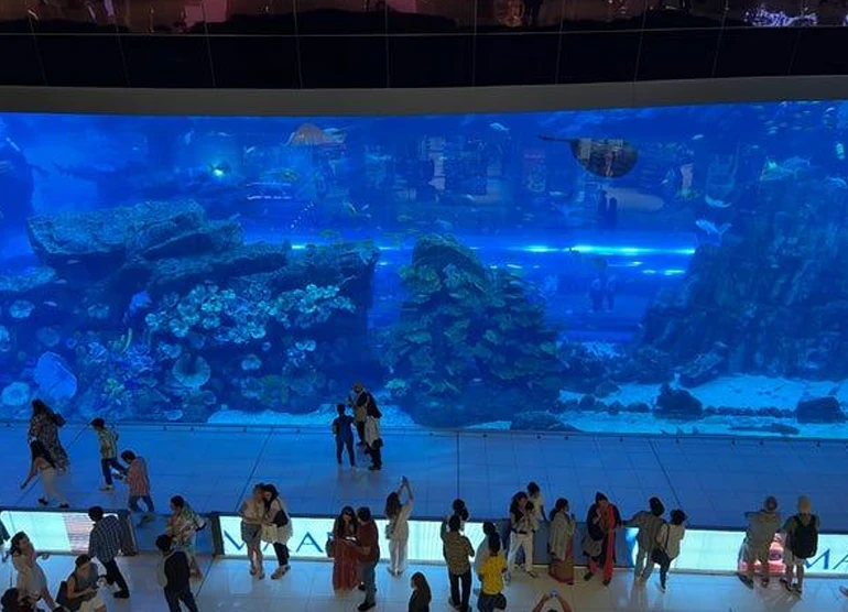 آکواریوم دبی امارات