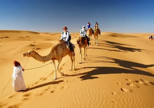 Desert Safari