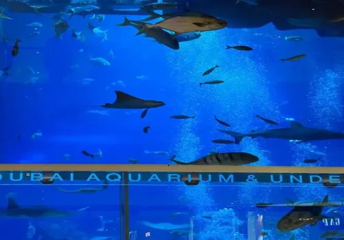 Dubai Aquarium