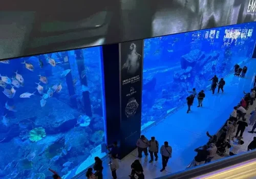 Dubai Aquarium