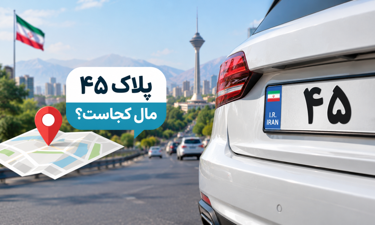 پلاک ۴۵ مال کجاست؟