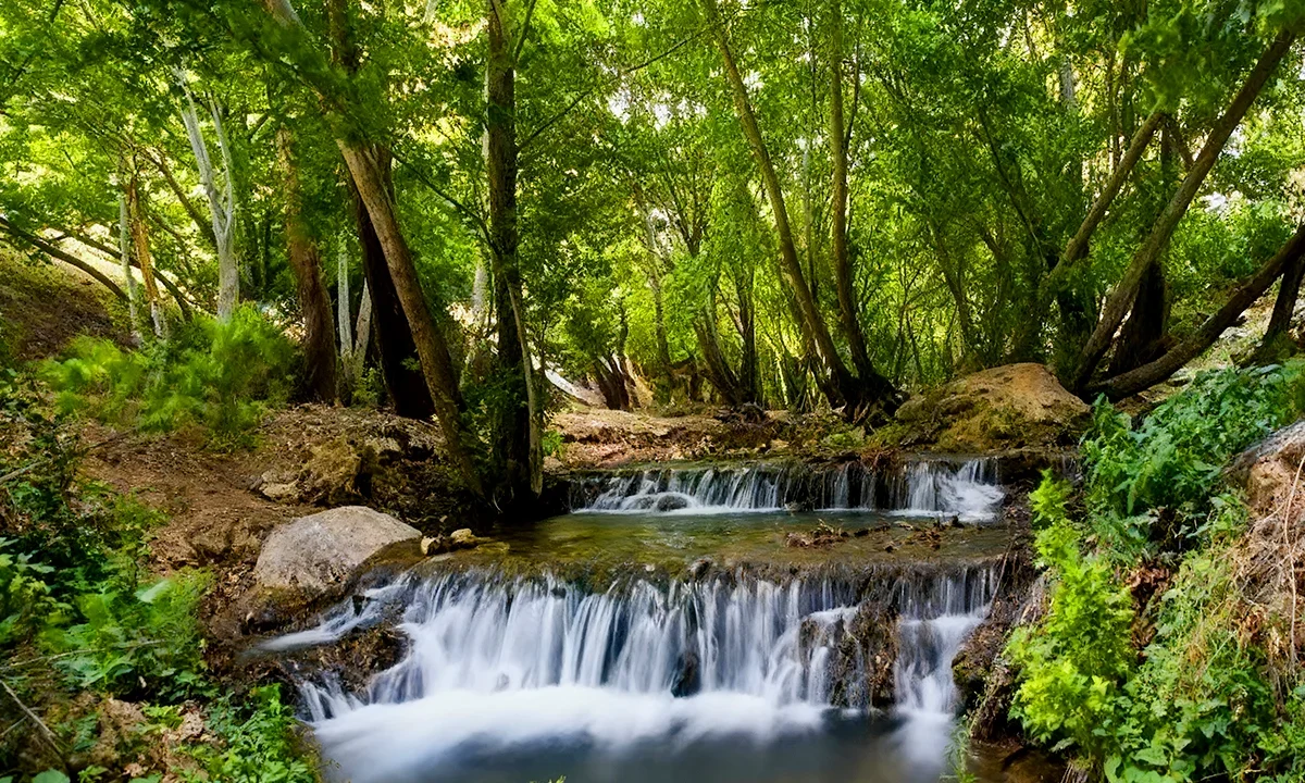 بهشت گمشده شیراز