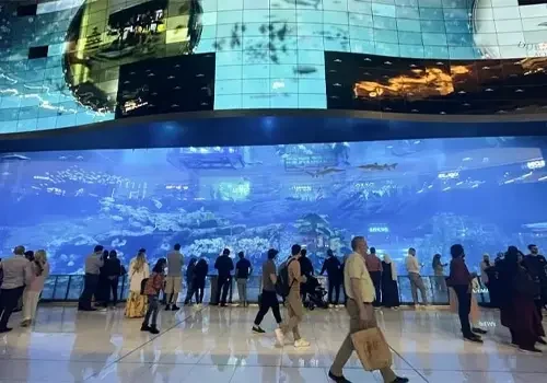 باغ وحش زیر اب جاهای دیدنی دبی
