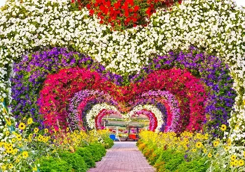 میراکل گاردن جاهای دیدنی دبی