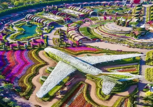 Miracle Garden
