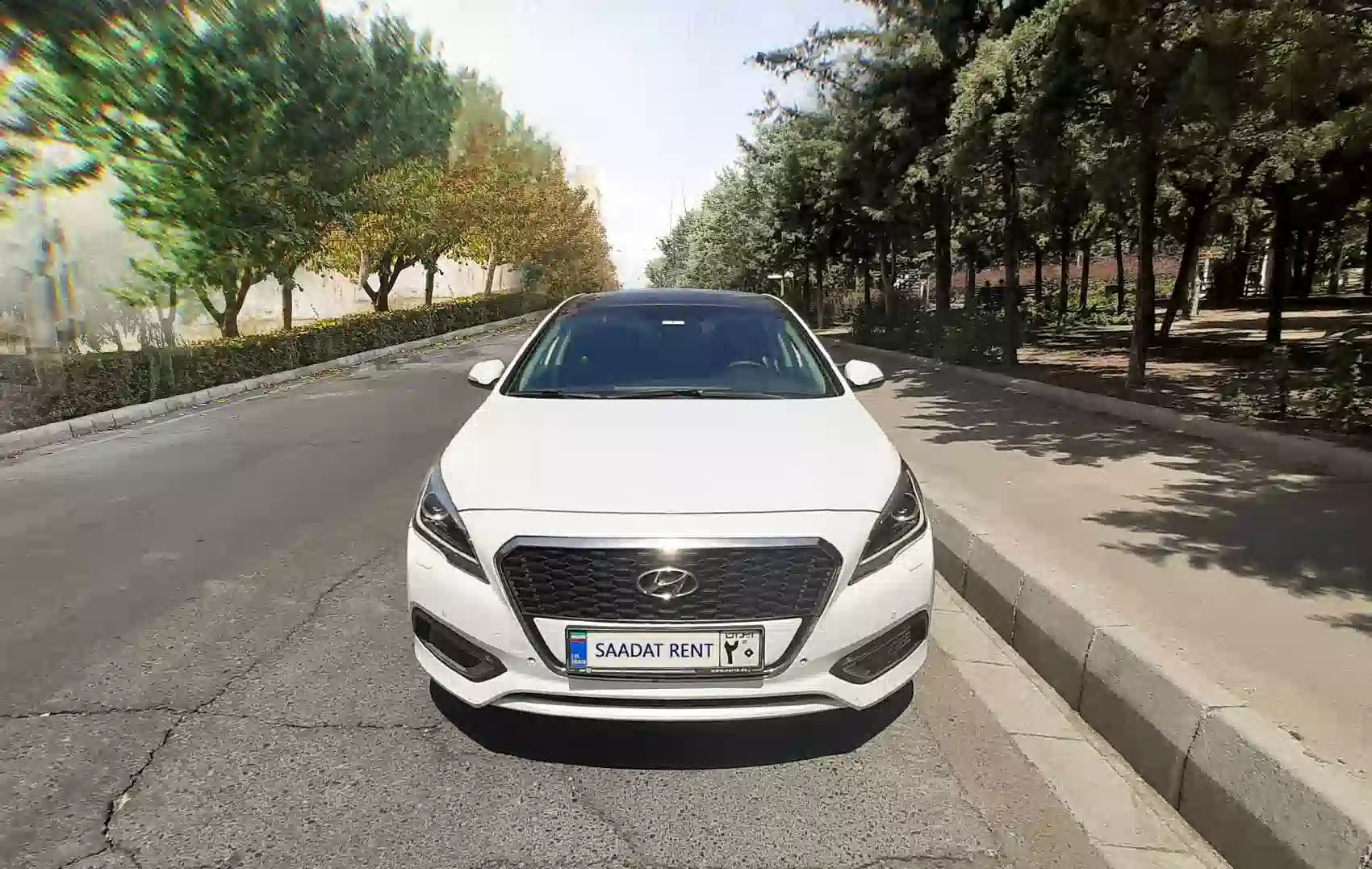 Hyundai Sonata IF rental in tehran, Iran