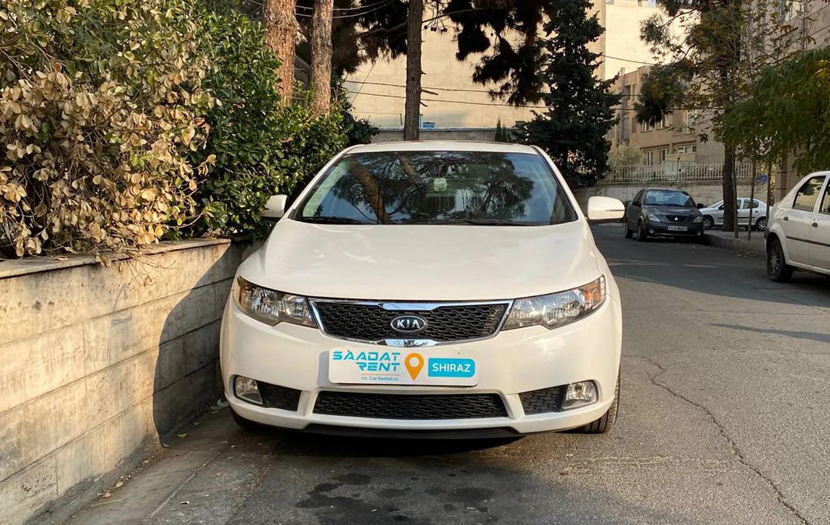 اجاره کیا سراتو در شیراز | کرایه کیا سراتو شیراز ...