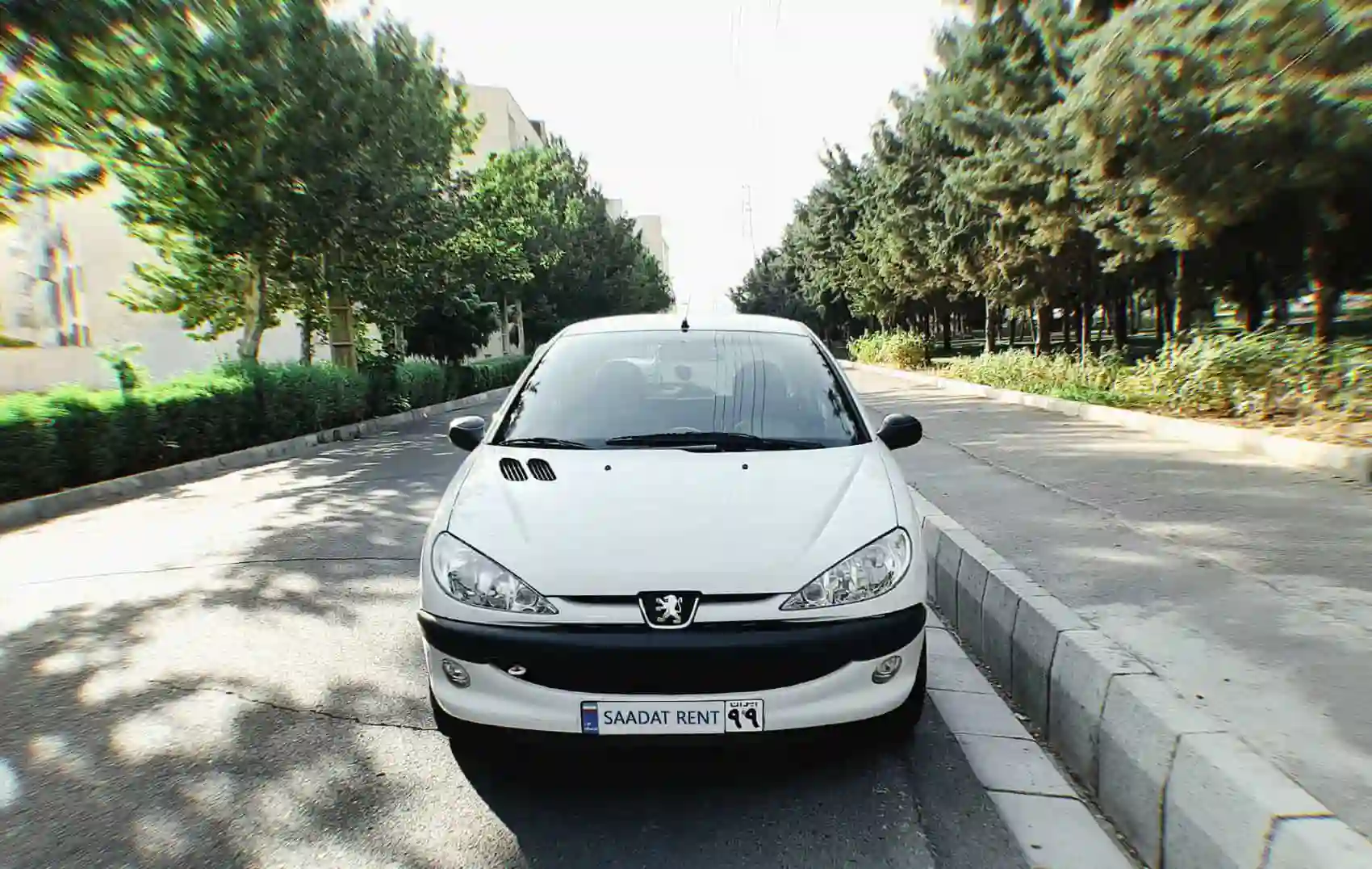 Rent a Peugeot 206 in Iran