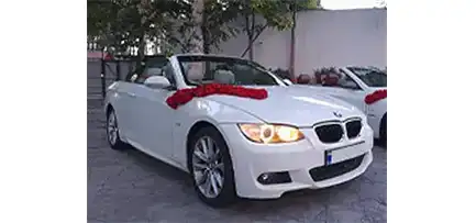 گل آرایی ماشین عروس مدل فلاوی