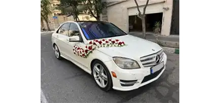 گل آرایی ماشین عروس طرح ساردین