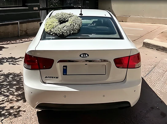 طرح گل‌آرایی ماشین عروس منحنی آرالیا