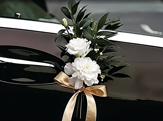 طراحی ماشین عروس مدل دیلیا