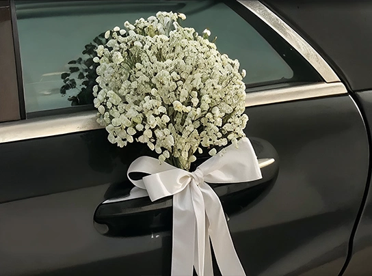 طراحی ماشین عروس مدل دلیسا