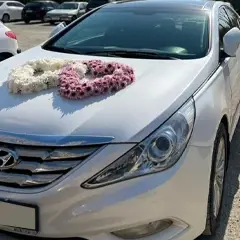 گل آرایی ماشین عروس طرح لیدیا
