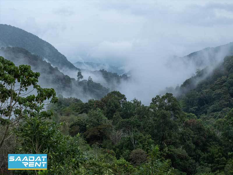 Sights of the cloud forest