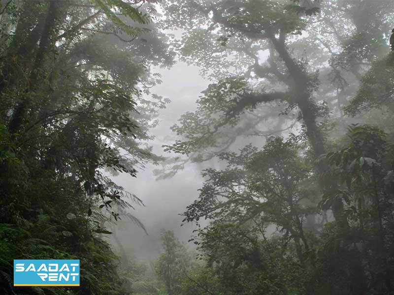 The reason for the formation of the cloud ocean in the cloud forest