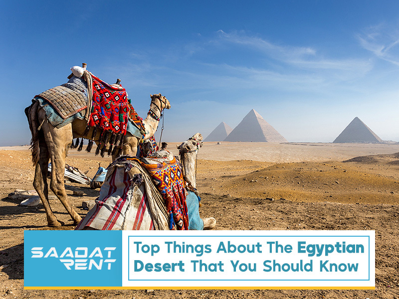 Top things about the Egyptian desert that you should know