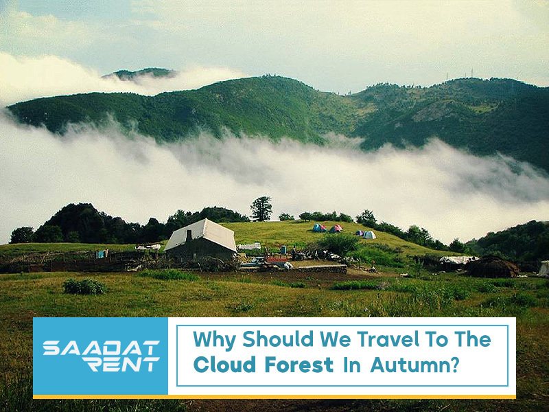 Why should we travel to the cloud forest in autumn?
