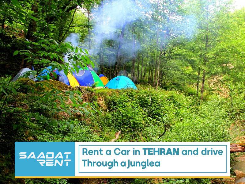 Rent a car in Tehran and driving through a jungle