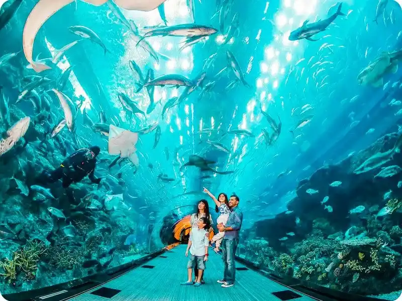 Is Dubai Aquarium expensive for entertainment?