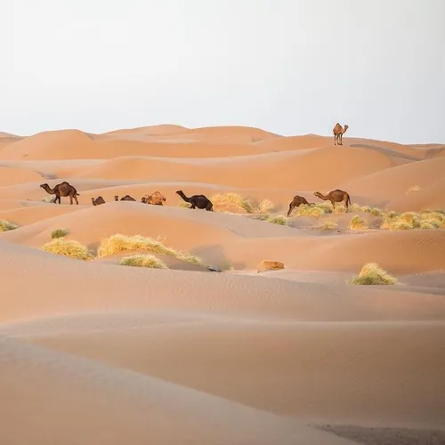 Maranjab Desert, Iran Natural Wonders
