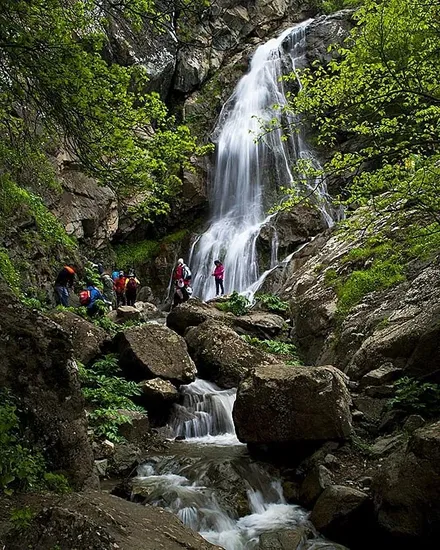 Top Forests to Visit in Iran