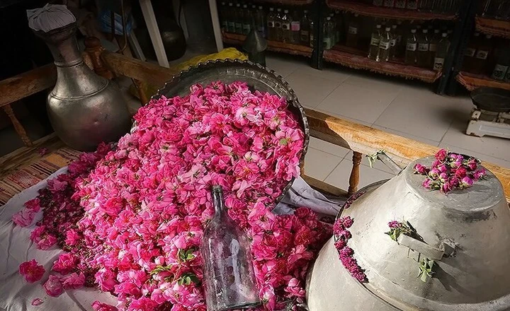 process of extracting rose water in Kashan