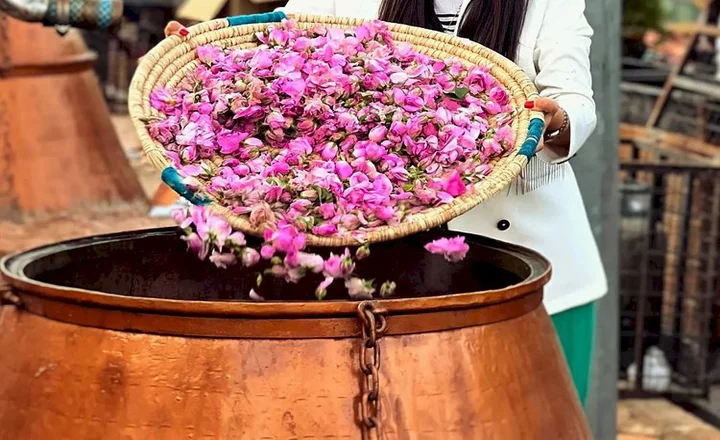Rose Water Festival in Iran
