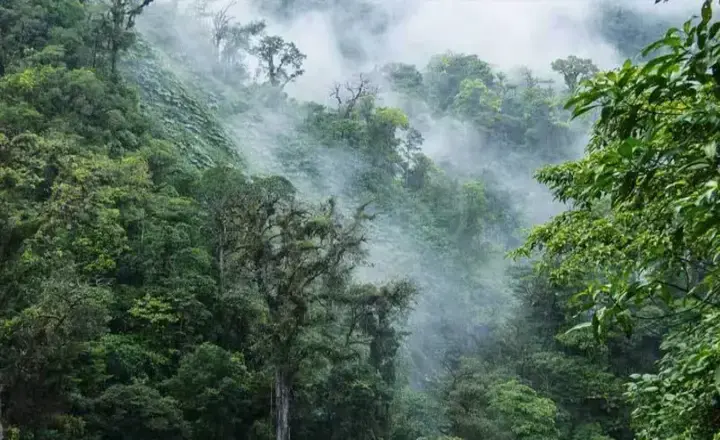 When is the best time to travel to Cloud Forest in Iran?