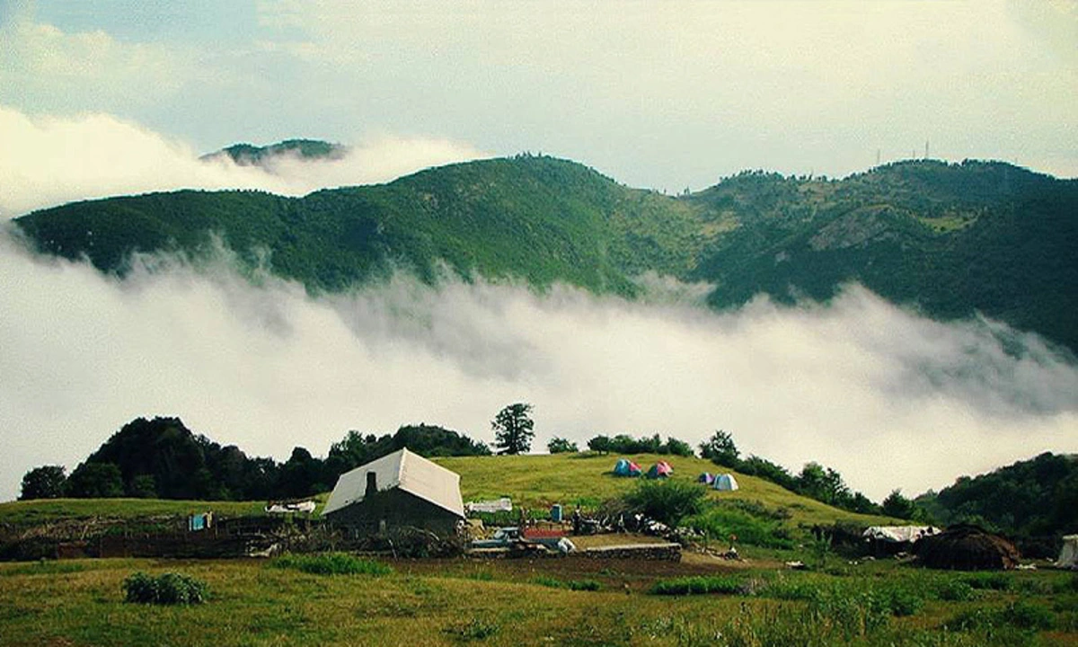 Cloud Forest in Iran