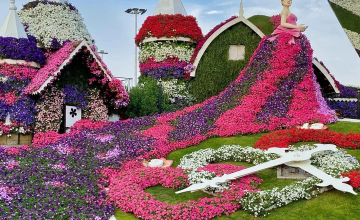 Exploring the Miracle Garden's Floral Wonders