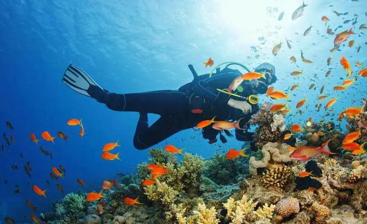 Marine tourism and its types in the world and Iran
