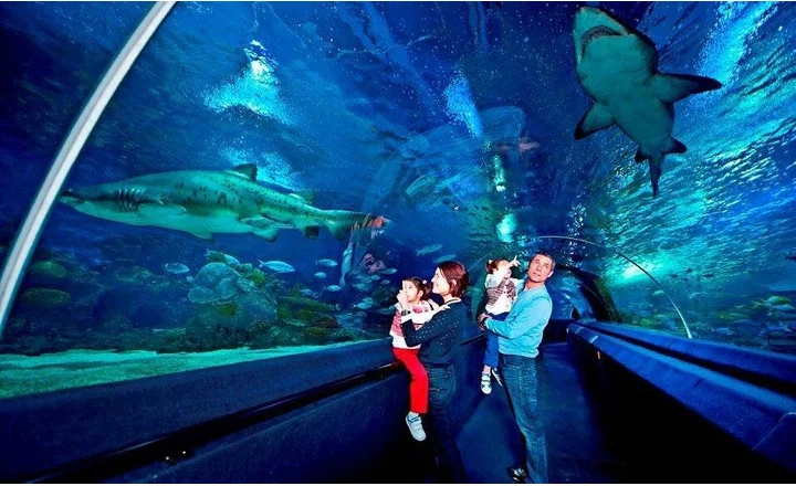 Sea Life Aquarium in Istanbul