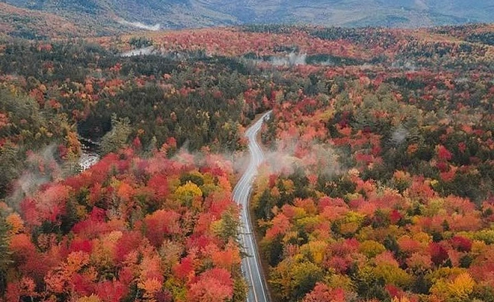 جاده جنگل دوهزار از زیباترین جاده های ایران