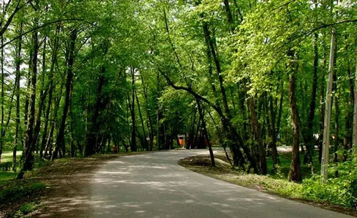 تهران گردی پارک جنگلی وردآورد